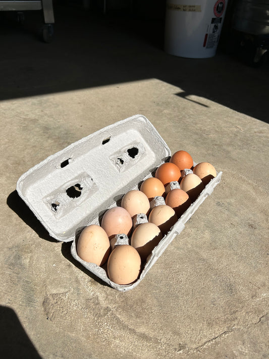 Free Range Brown Eggs 1 Dozen